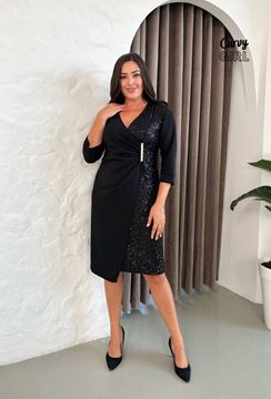 Picture of CURVY GIRL OCCASION DRESS